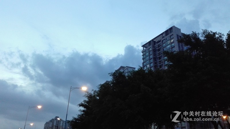 华为P8随手拍几张-----欢迎大家欣赏！