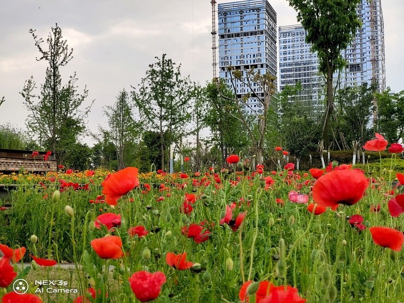 无界无边，全面屏NEX 3S深度评测（二）