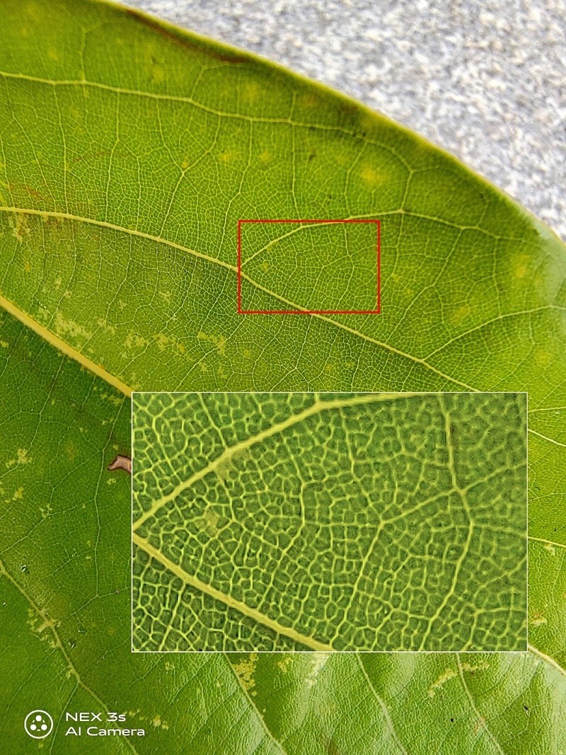 无界无边，全面屏NEX 3S深度评测（二）