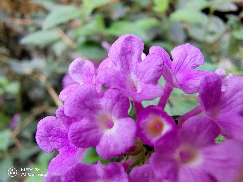 无界无边，全面屏NEX 3S深度评测（二）