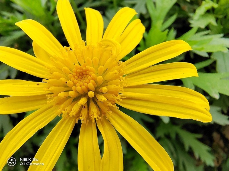 无界无边，全面屏NEX 3S深度评测（二）