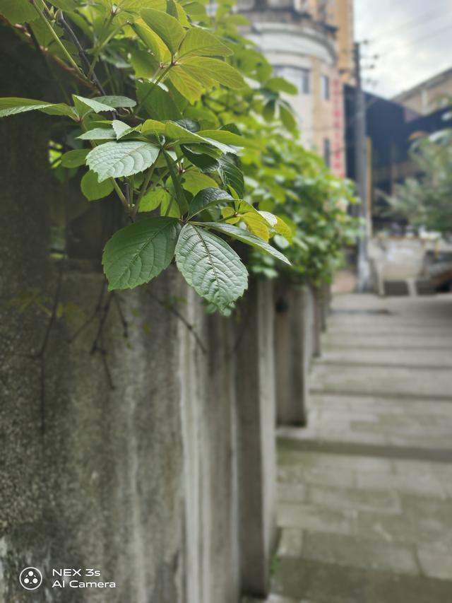 高通骁龙865+全焦段覆盖！无界瀑布屏vivo NEX 3S深度体验