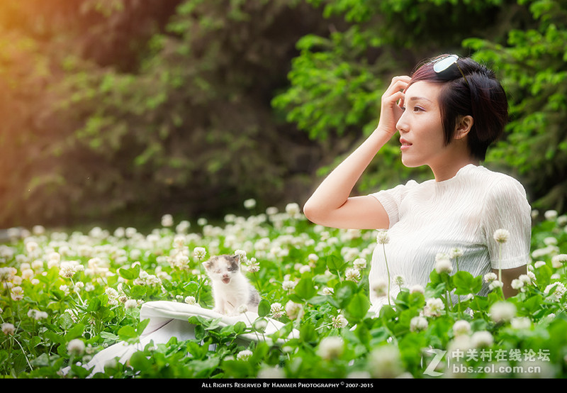 我曾经试图数尽天上的星星。实际上我成功地数到了第4348颗。