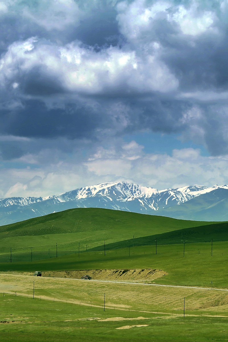 p8max壁纸征集天山牧场