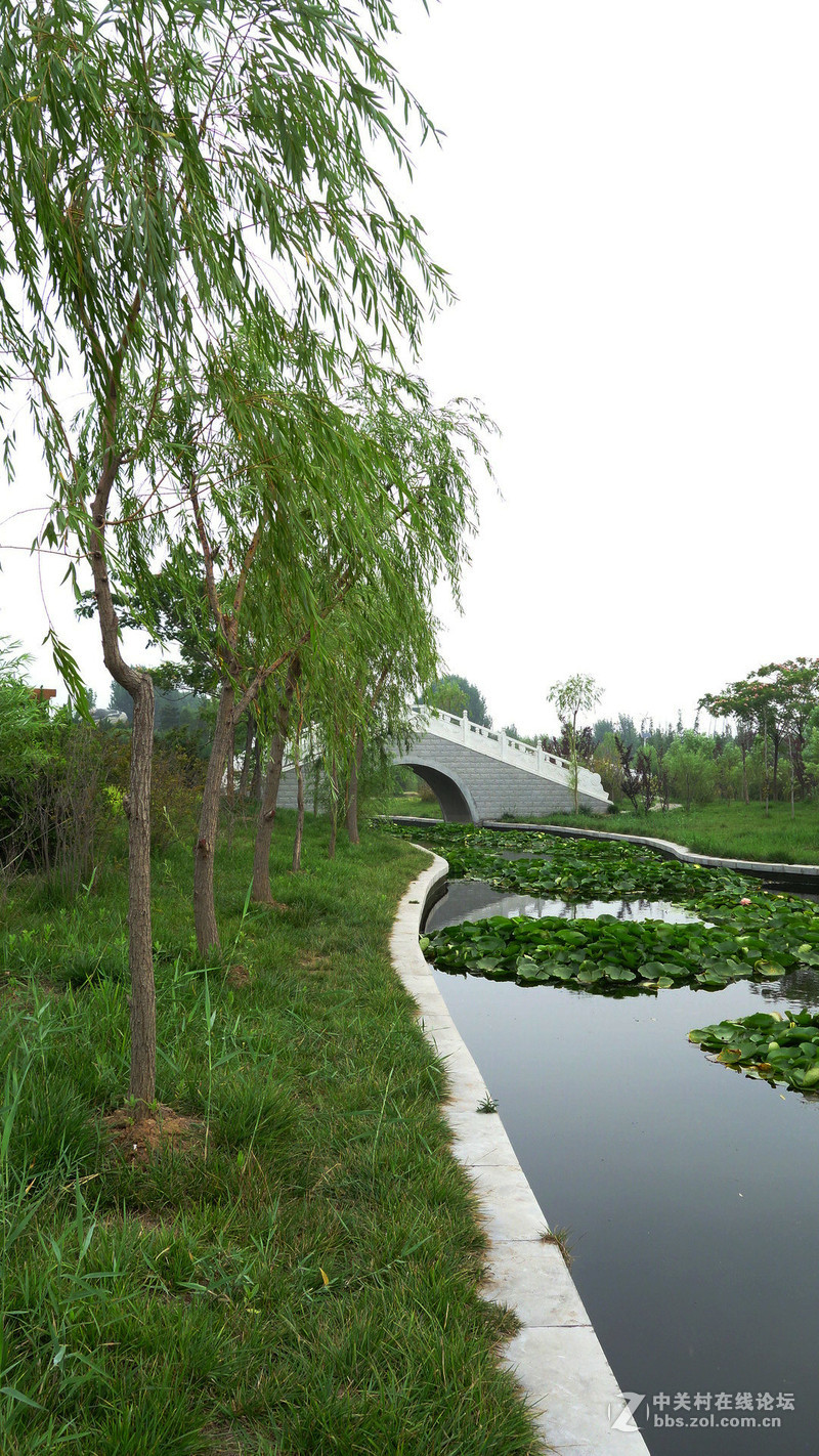 山东东平湿地公园