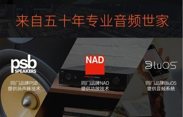 来自枫叶国之声：BLUESOUND PULSE MiNi 2