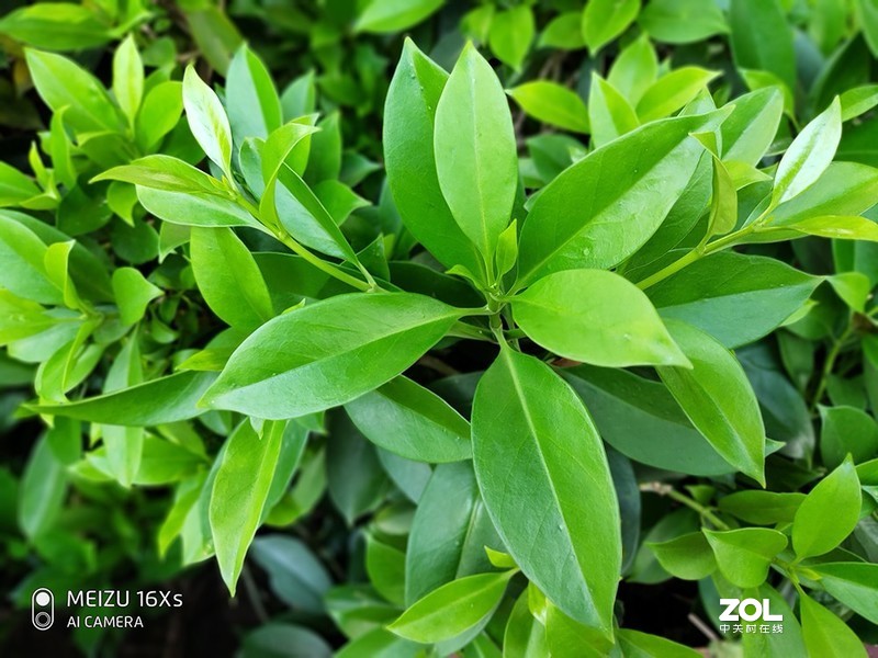 由内而外的平衡，魅族16Xs深度体验