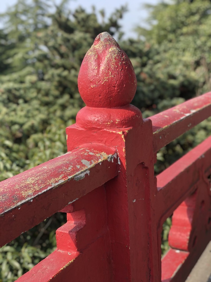 iPhonex日常拍照样张