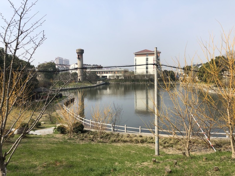 iPhonex日常拍照样张