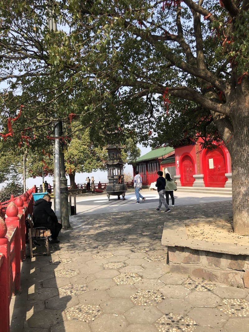 iPhonex日常拍照样张