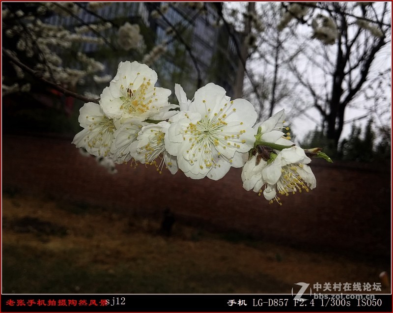 D857 手机拍片也疯狂——阴天手机拍陶然亭风景