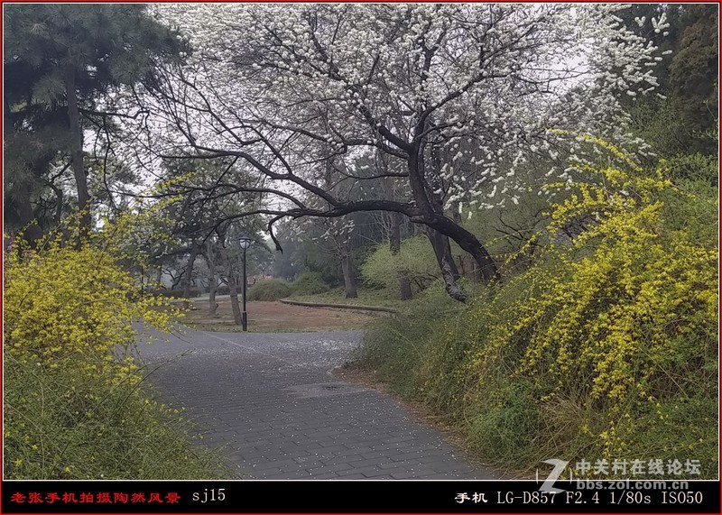 D857 手机拍片也疯狂——阴天手机拍陶然亭风景