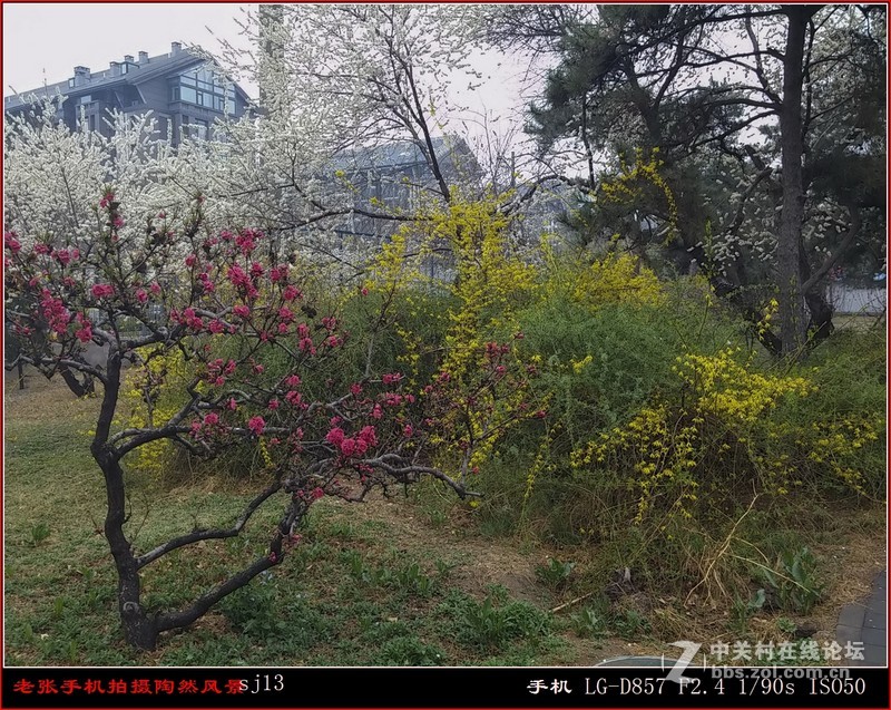 D857 手机拍片也疯狂——阴天手机拍陶然亭风景