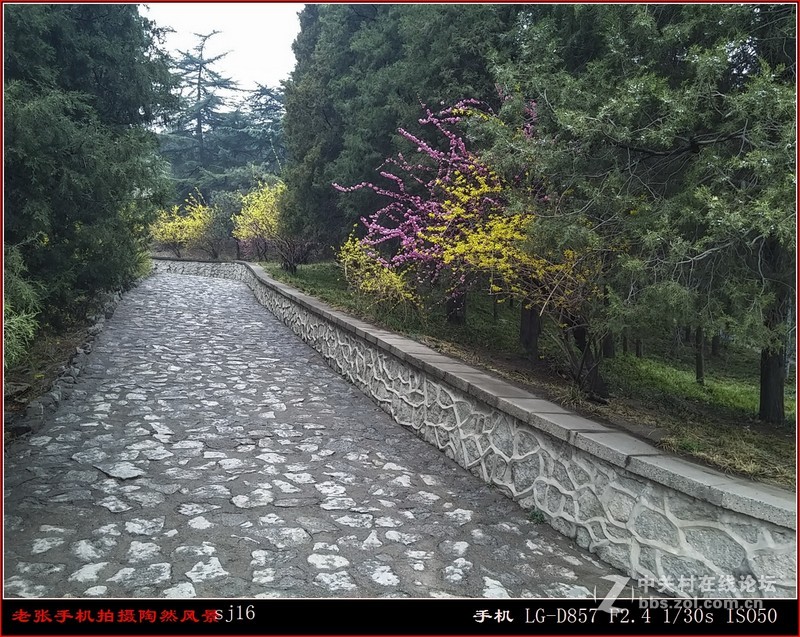 D857 手机拍片也疯狂——阴天手机拍陶然亭风景