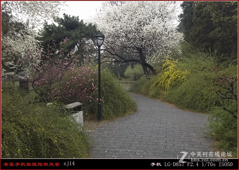 D857 手机拍片也疯狂——阴天手机拍陶然亭风景