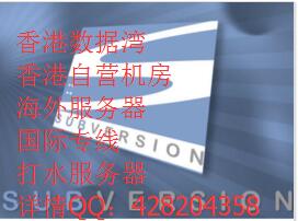 svn服务器是什么，有什么优势？