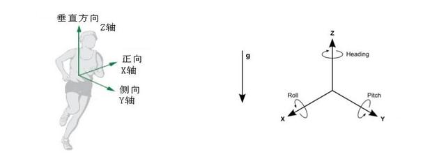 与众不同才会无可取代 华为手环B2王者归来