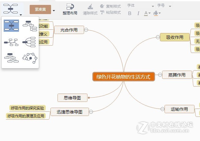 思维导图简单漂亮画法介绍