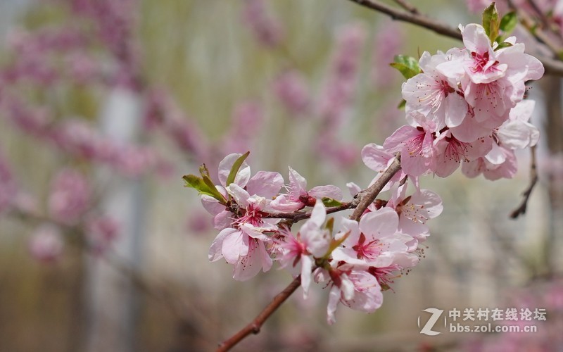 A7+FE35/2.8 兰州水车公园