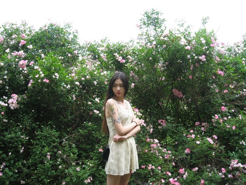 #夏天在哪里# 奥运森林公园