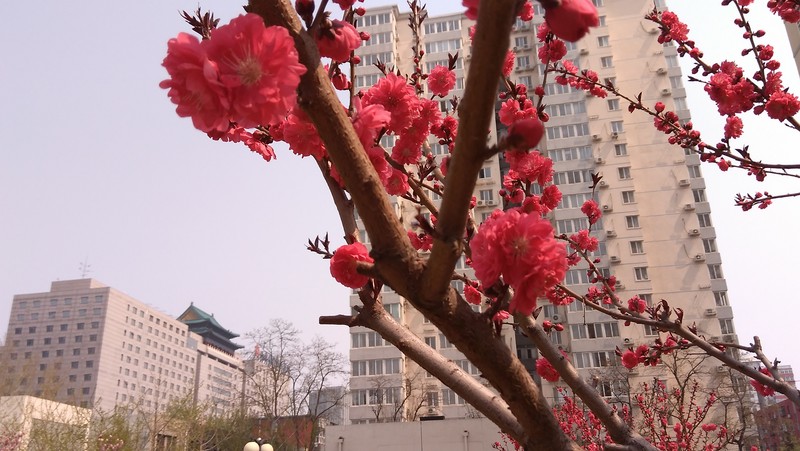 #大神F1极速体验# 多种模式 个性拍照——大神F1极速版体验拍照篇