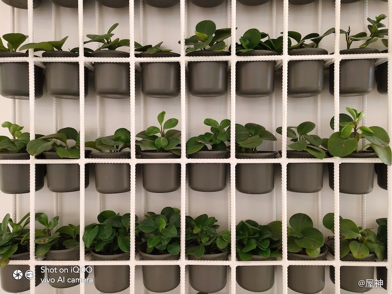 iQOO monster 顶配版性能怪兽72小时上手最详评