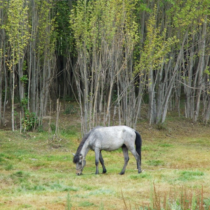 怀念西藏之旅和S6500fd