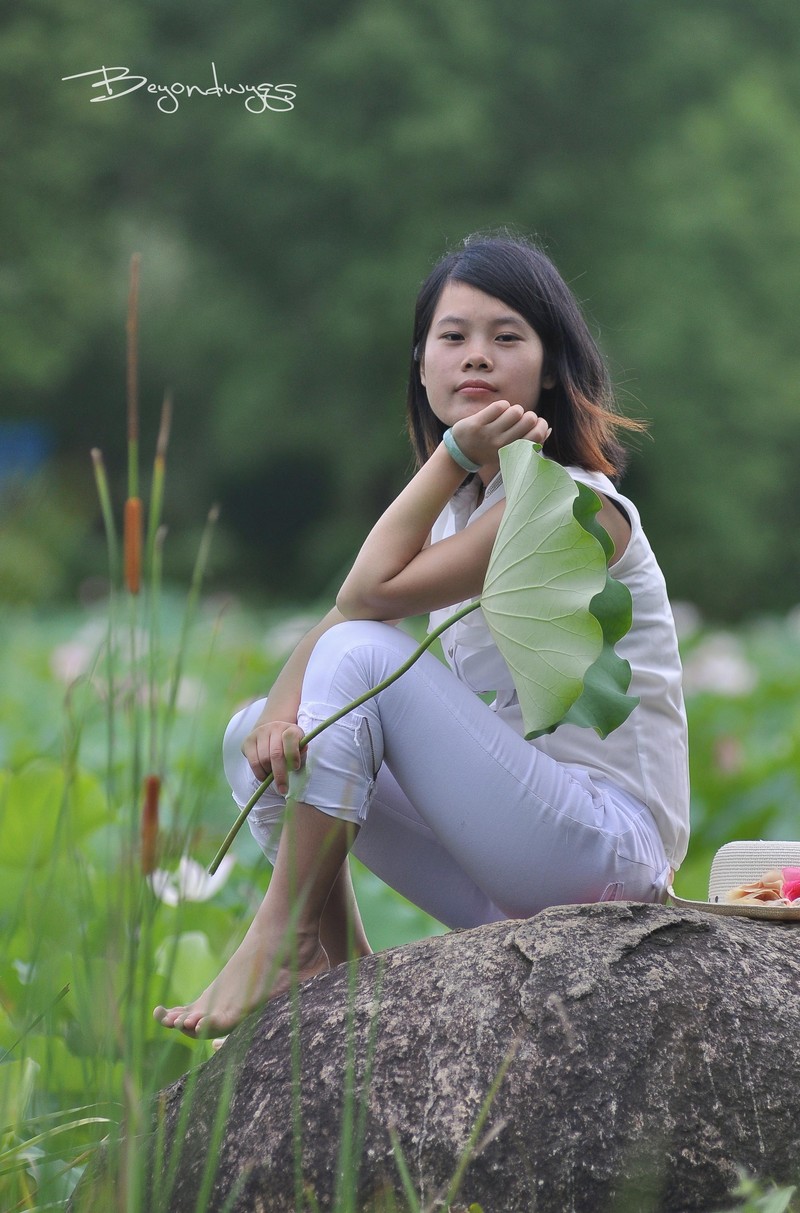 荷塘悦色(一代钢炮人像)