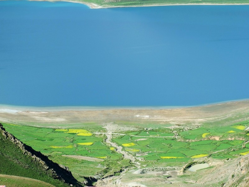 怀念西藏之旅和S6500fd