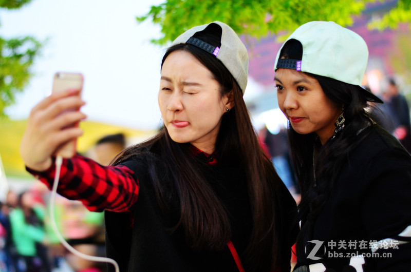 生命似流年，时光荏苒