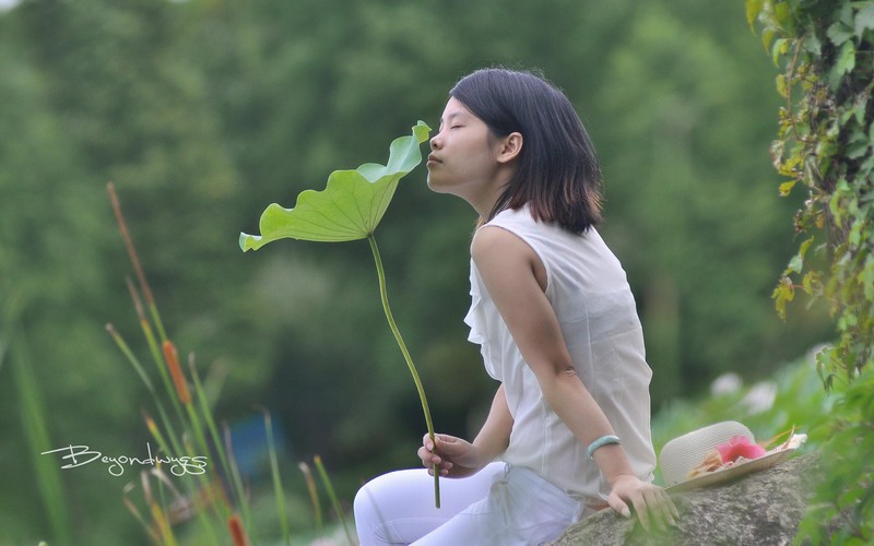 荷塘悦色(一代钢炮人像)