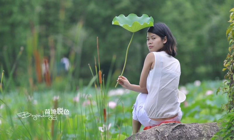 荷塘悦色(一代钢炮人像)