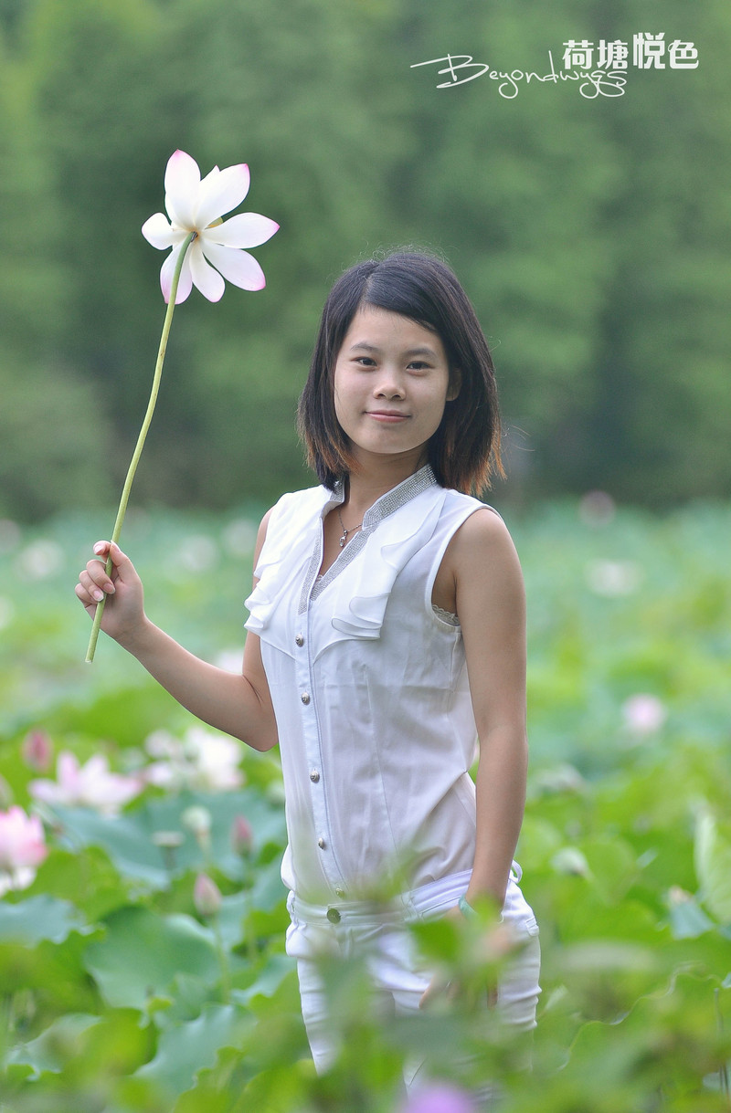 荷塘悦色(一代钢炮人像)