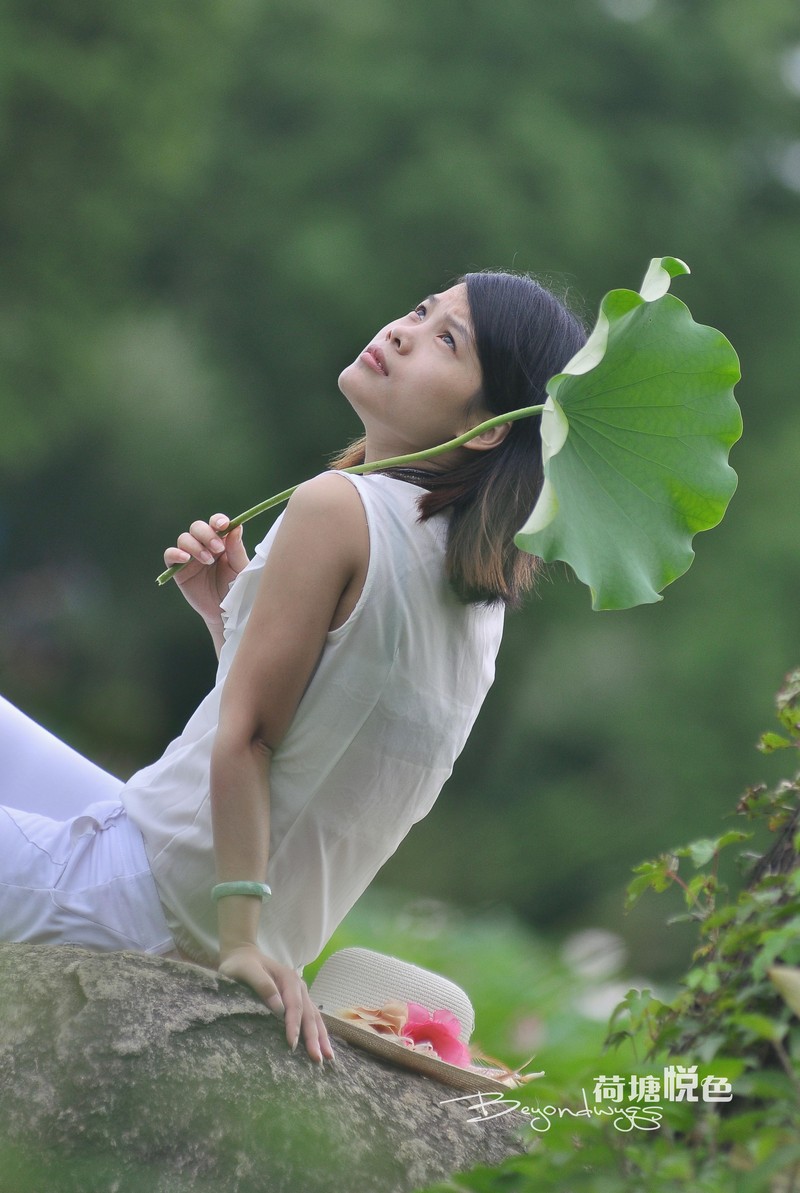 荷塘悦色(一代钢炮人像)