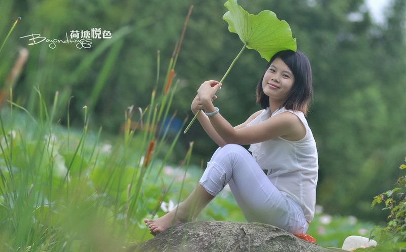 荷塘悦色(一代钢炮人像)