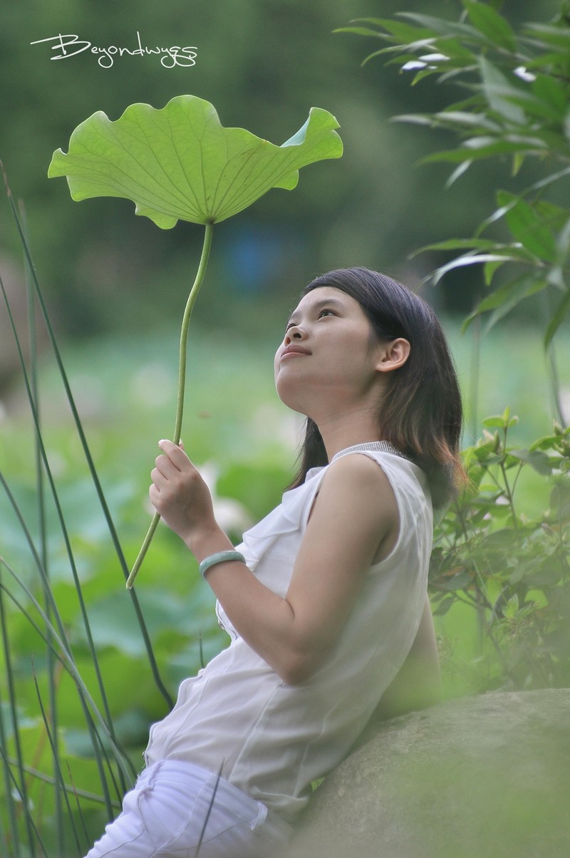 荷塘悦色(一代钢炮人像)