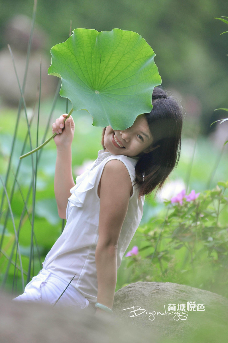 荷塘悦色(一代钢炮人像)