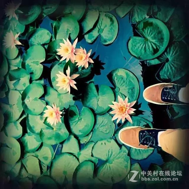 手机拍出来的好照片