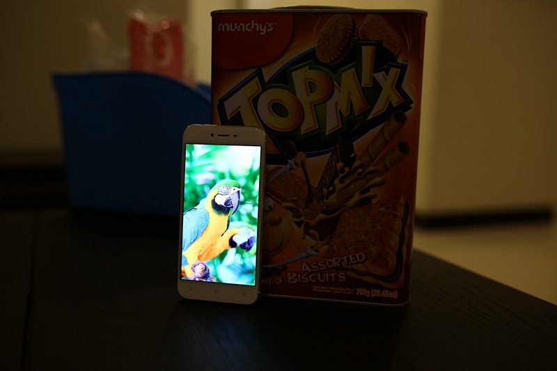 凌乱了！当小3遇见“小3”，我们家小3表示很喜欢新来的“小3”