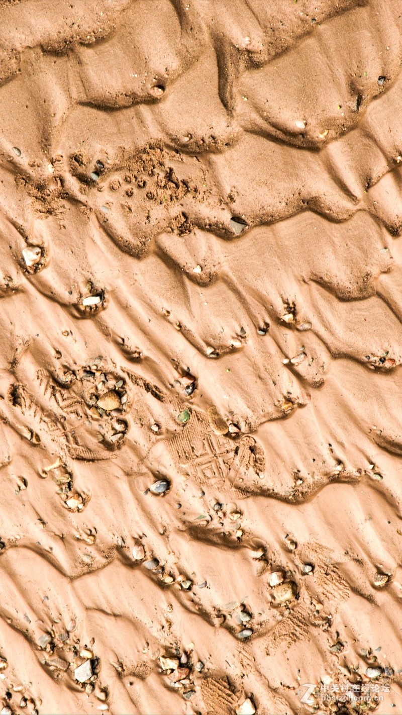 #P8max壁纸征集# 流 动 的 爱 意 随 身 的 关 怀