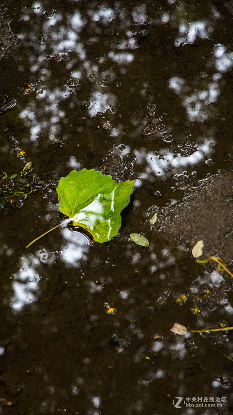 #P8max壁纸征集# 流 动 的 爱 意 随 身 的 关 怀