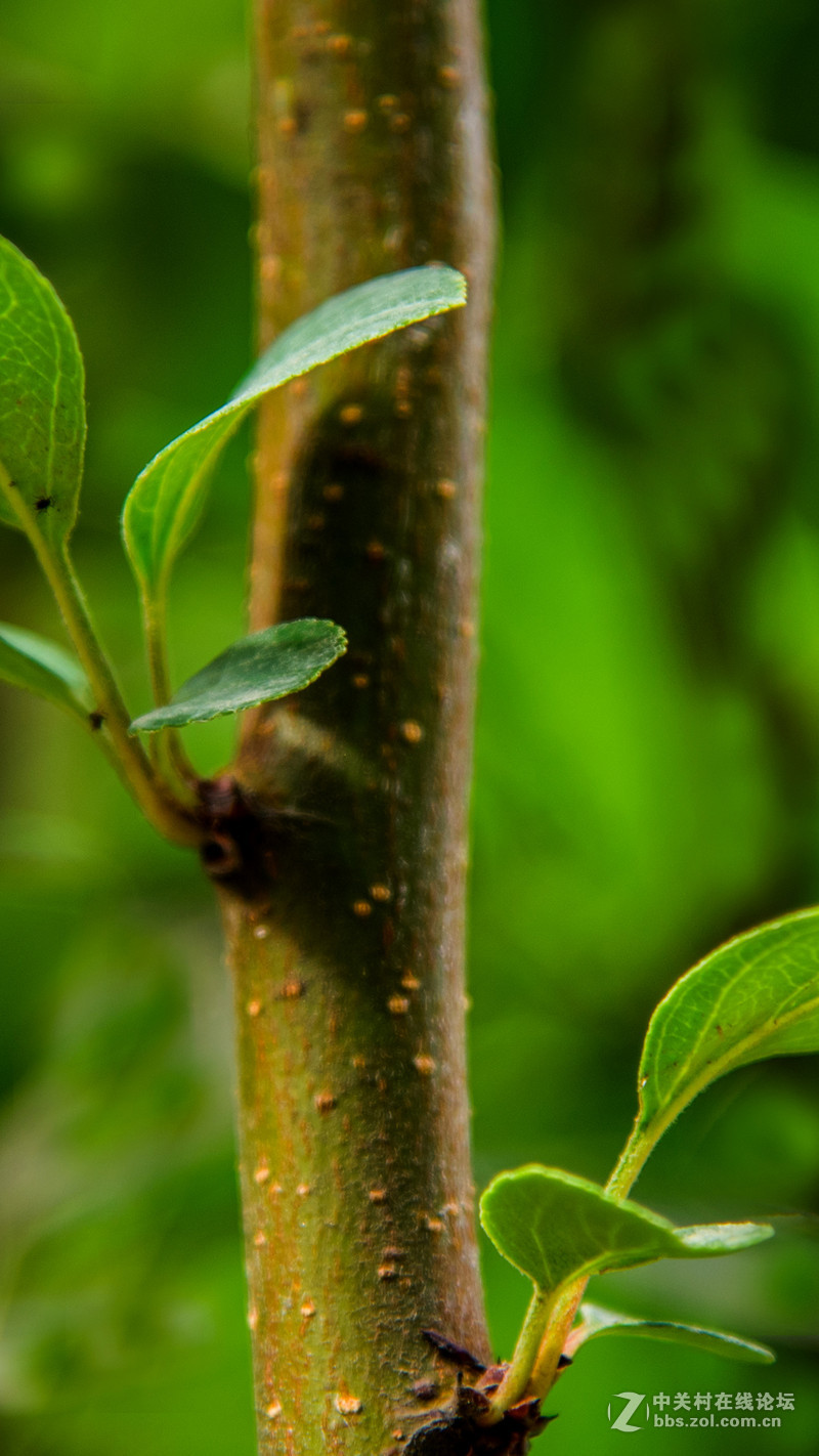 #P8max壁纸征集# 流 动 的 爱 意 随 身 的 关 怀 ( 三 )