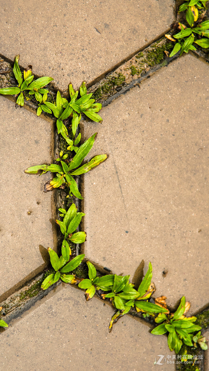 #P8max壁纸征集# 流 动 的 爱 意 随 身 的 关 怀 ( 三 )