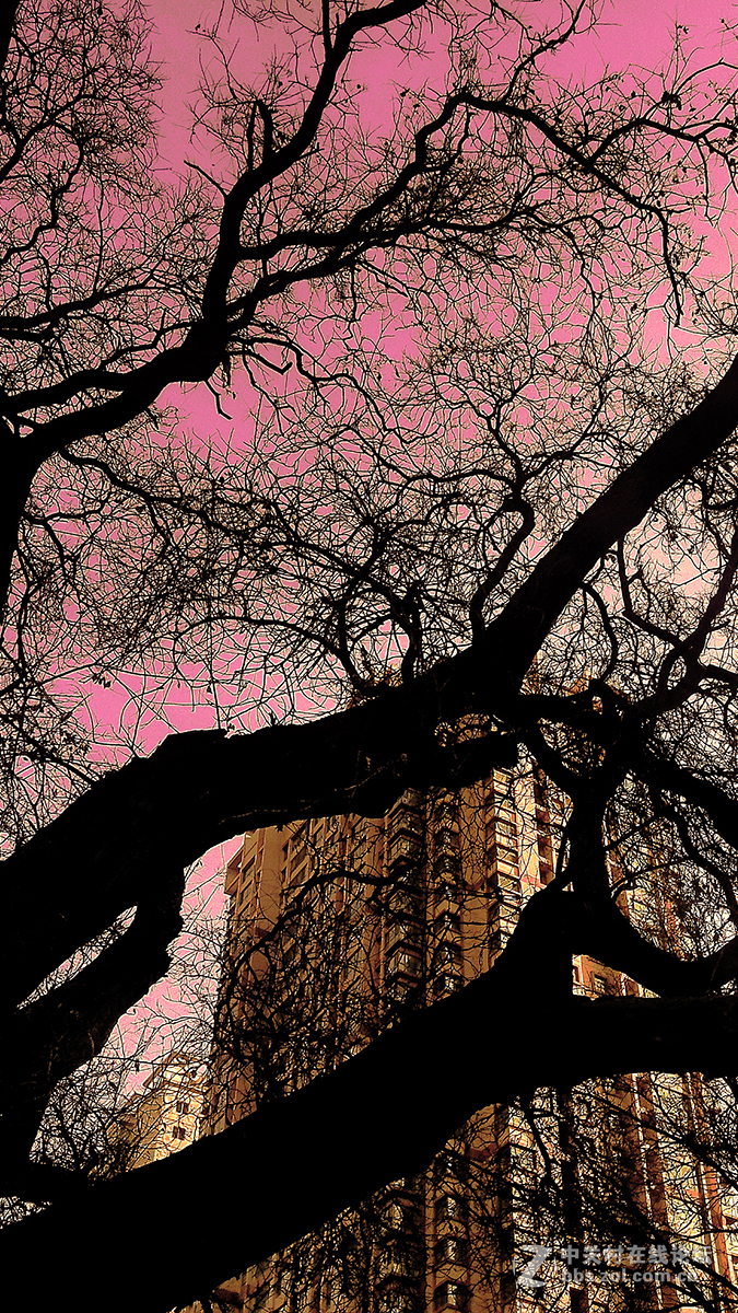 #P8max壁纸征集# 流 动 的 爱 意 随 身 的 关 怀 ( 五 )