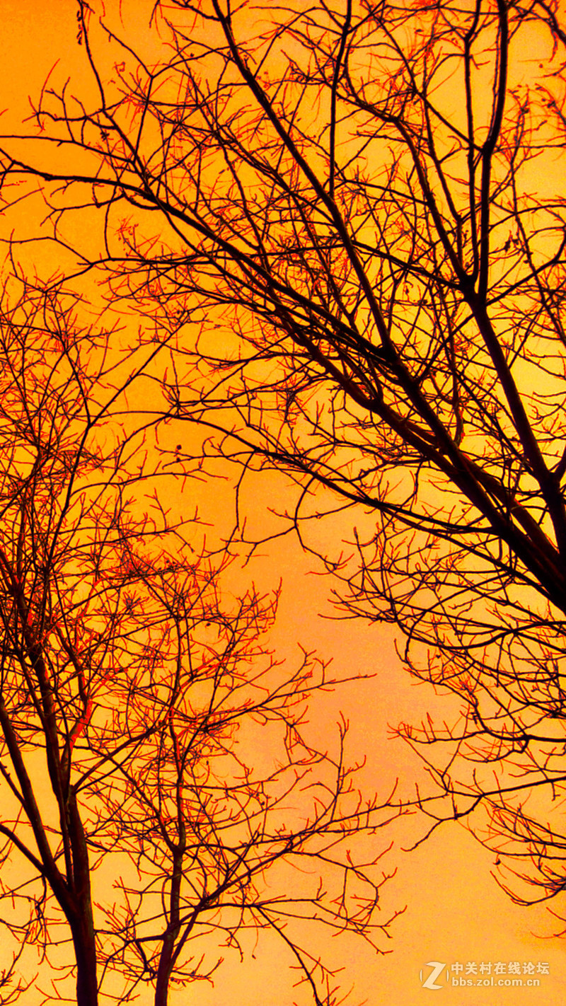 #P8max壁纸征集# 流 动 的 爱 意 随 身 的 关 怀 ( 五 )