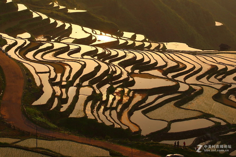 #版主坐堂#2015年6月份6D論壇下半月精華匯集