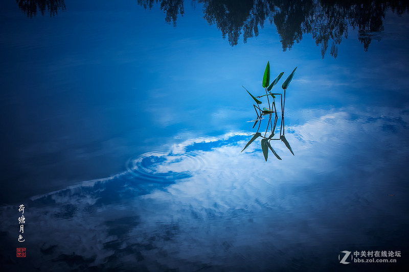 #版主坐堂#2015年6月份6D論壇下半月精華匯集