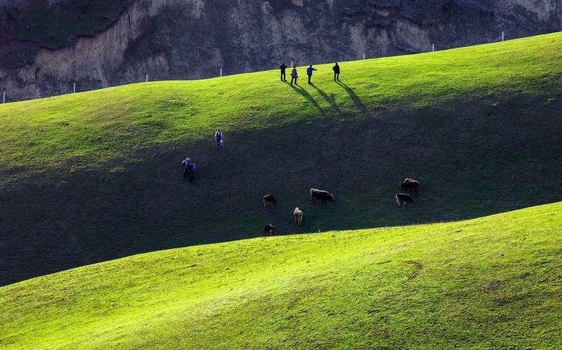 #版主坐堂#2015年6月份6D論壇下半月精華匯集