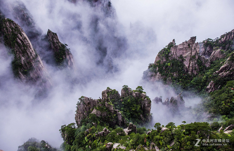 #版主坐堂#2015年6月份6D論壇下半月精華匯集