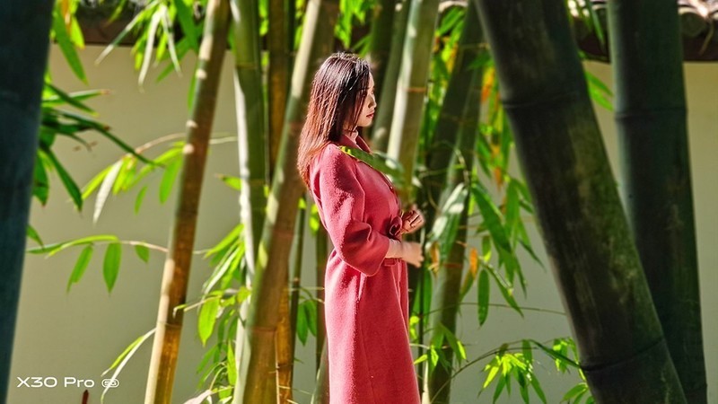 切换焦段看世界：潜望式超远摄vivo X30手机摄影